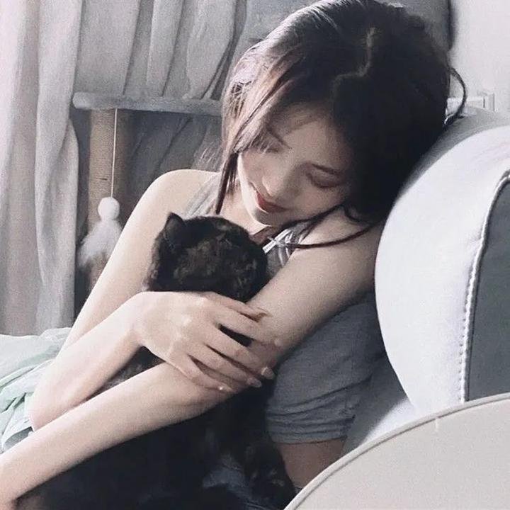 抵挡计划海报